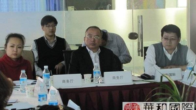 企业上市辅导：揭秘背后的差异与选择要点